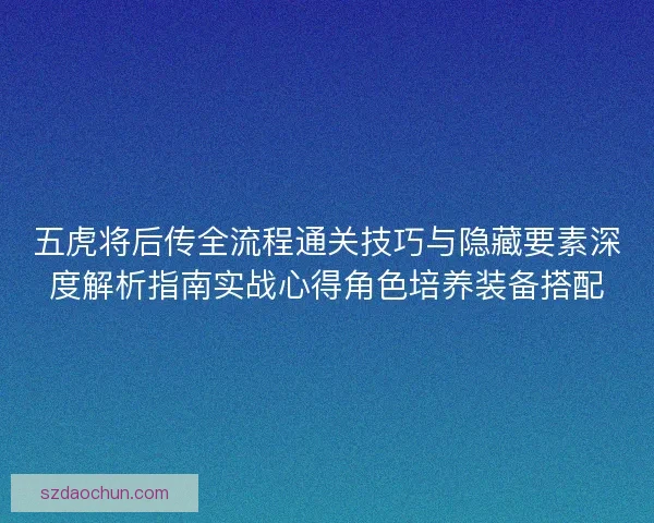 五虎将后传全流程通关技巧与隐藏要素深度解析指南实战心得角色培养装备搭配